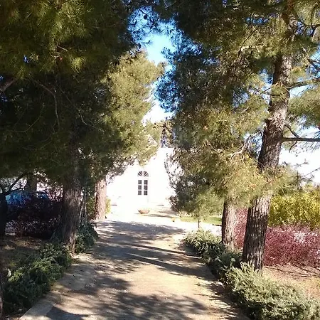Palmaflora Con Trulli Impalata